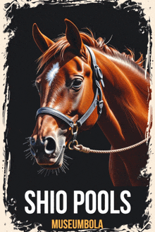 a poster for shio pools museumbola shows a brown horse wearing a bridle