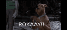 Scooby Rokaay GIF - Scooby Rokaay Excited GIFs