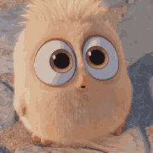 Angry Bird Cute GIF - Angry Bird Cute Fluffy GIFs