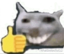 Thumbs Up Cat Meme GIF - Thumbs Up Cat Meme Cat GIFs
