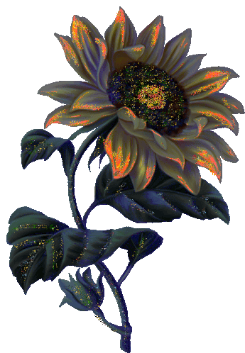 Böbe Giffjei Sunflower Sticker - Böbe Giffjei Sunflower Dark Stickers