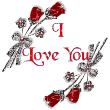 i love you red roses sparkle glitter