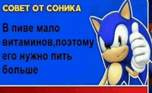 a picture of sonic the hedgehog giving a thumbs up in a foreign language