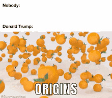 Donald Trump Funny GIF - Donald Trump Funny Orange GIFs