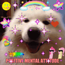 Positive Vibes GIF - Positive Vibes Dog GIFs
