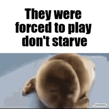 They Were Forced To Play GIF