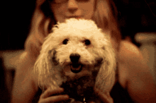 a woman is holding a small white dog in her lap