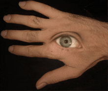 Hand Eye Coordination GIF
