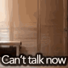 Can'T Talk Now GIF - Busy Biz Kitty Cant Talk GIFs