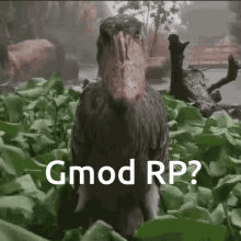 Gmod Garrys Mod GIF - Gmod Garrys Mod Role Play GIFs
