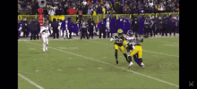 Immaculatereception Vikings GIF - Immaculatereception Vikings Packers GIFs