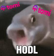Tomi Tominet GIF - Tomi Tominet Blockchain GIFs