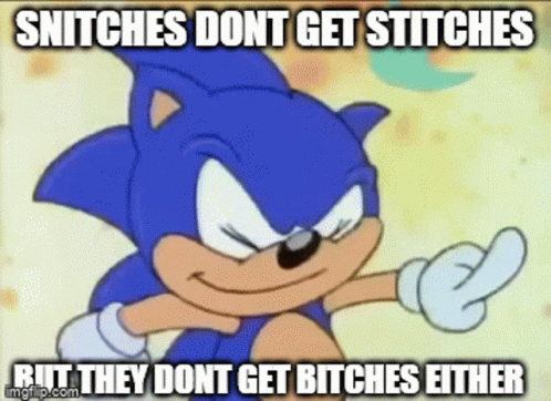 snitches-sonic.gif