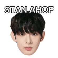 a picture of a boy with the name stan ahof