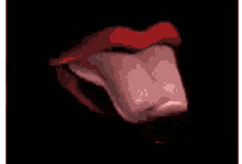 a close up of a woman 's tongue sticking out of her mouth on a black background .