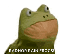Frogs Memes GIF - Frogs Memes Dancing GIFs