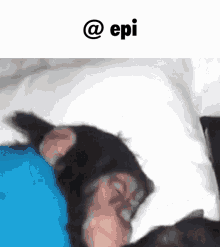 Epi GIF - Epi GIFs