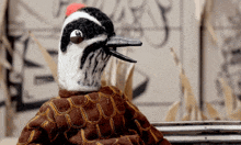 a black and white bird with a red beak is sitting on a bench