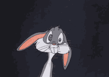 Bugs Bunny Looney Tunes GIF - Bugs Bunny Looney Tunes Going Crazy GIFs