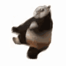 Panda Kung Fu Panda GIF - Panda Kung Fu Panda Dancing GIFs