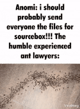 a bunch of ants are crawling on a wooden floor next to a quote