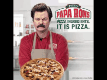 Papa Rons Pizza Pizza Ingredients GIF - Papa Rons Pizza Pizza Ingredients It Is Pizza GIFs