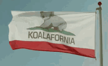 樹熊 GIF - Koala Flag California GIFs