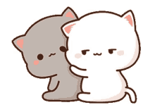 hug cats