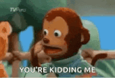 a stuffed monkey is saying `` you 're kidding me '' while being held by a person .