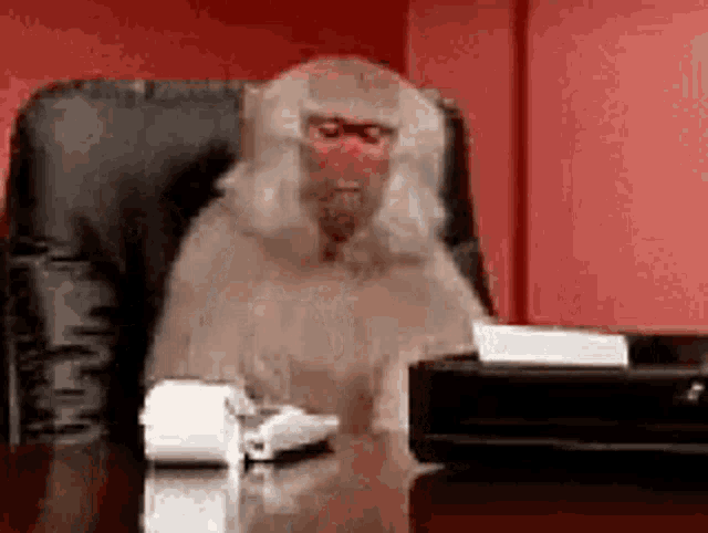 Calculation Office GIF - Calculation Office Boss GIFs
