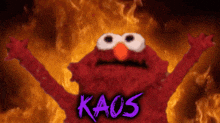 Kaos Animal GIF - Kaos Animal Muppet GIFs