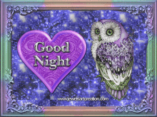 good night owl heart sparkle glitter