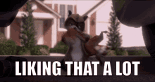 Rj Raccoon Over The Hedge GIF - Rj Raccoon Over The Hedge Liking That A Lot GIFs