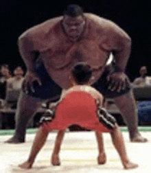 a sumo wrestler is standing next to a smaller wrestler on a ring .