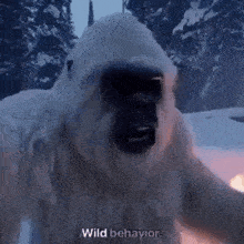 a yeti is standing in the snow with its mouth open .
