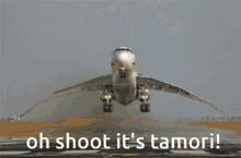Tamori Airplane GIF