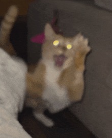 a blurred image of a cat with yellow eyes