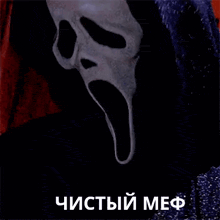 a close up of a person wearing a scream mask with a hood .