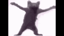 Scar Fired Dougie Cat GIF - Scar Fired Dougie Cat GIFs