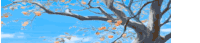 looking up at a tree with leaves against a blue sky