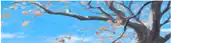 looking up at a tree with leaves against a blue sky