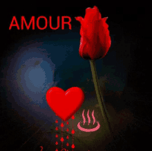 amour rose heart boulenin beauga