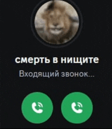 a phone screen with a picture of a lion and the words " смерть в нищите "