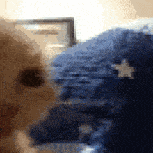 a blurry picture of a cat with a white star on its chest