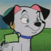 a dalmatian dog wearing earrings and a blue collar is standing in a grassy field .