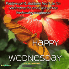 Happy Wednesday Aphasia GIF - Happy Wednesday Aphasia Healing Vibes GIFs