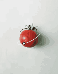 downsign orbit tomato vegetable art