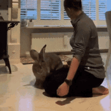 Kneeling Rabbit Pet GIF - Kneeling Rabbit Pet Barefeet GIFs