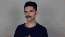 Robin James Mustache GIF - Robin James Mustache Groom GIFs