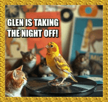 glen is taking the night off with a picture of a bird on a record
